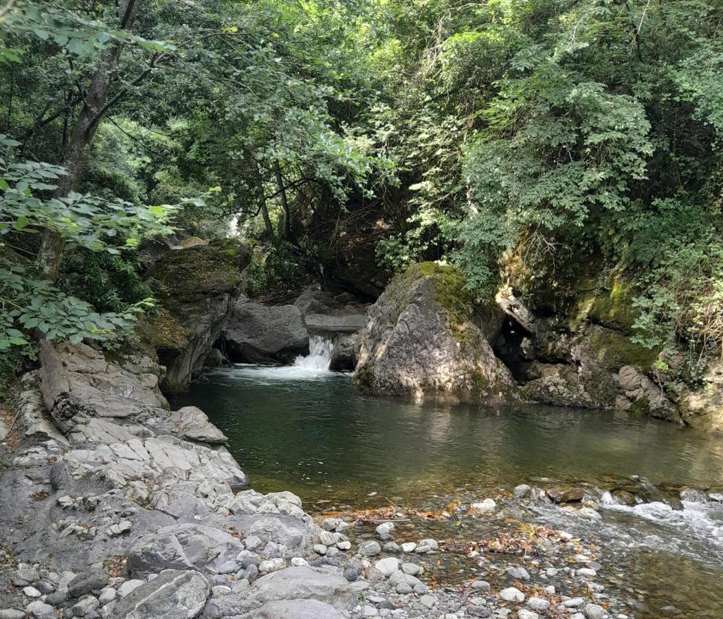 Casa Ylenia Villa Borzonasca Kültér fotó